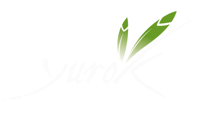 Logo empresa Yurok