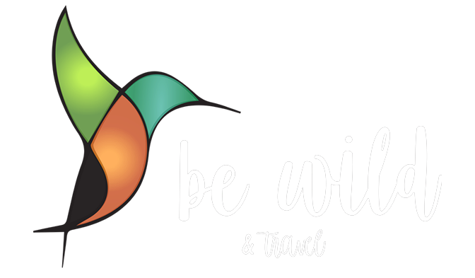 Logo de la empresa Be Wild